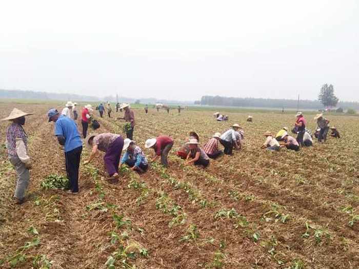 發(fā)貨現場(chǎng)