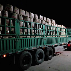 發(fā)貨現場(chǎng)