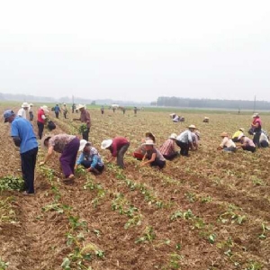 發(fā)貨現場(chǎng)