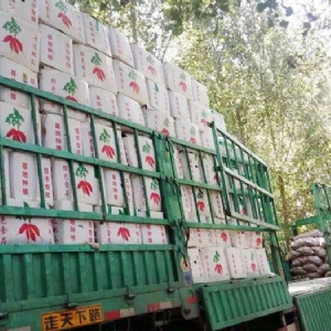 發(fā)貨現場(chǎng)