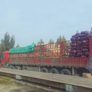 發(fā)貨現場(chǎng)