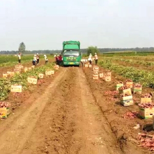 發(fā)貨現場(chǎng)