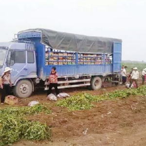 發(fā)貨現場(chǎng)