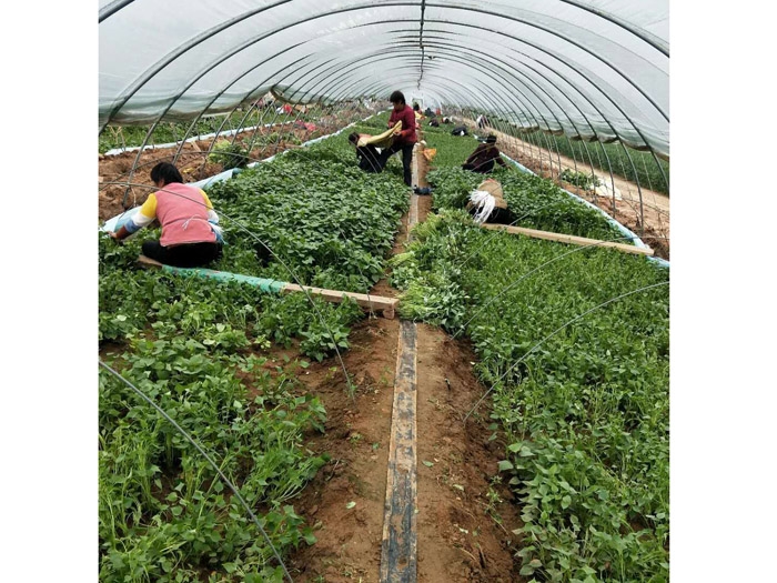 發(fā)貨現場(chǎng)