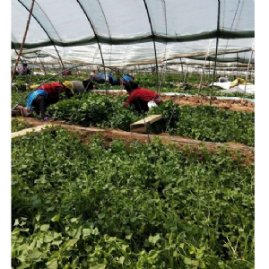 發(fā)貨現場(chǎng)