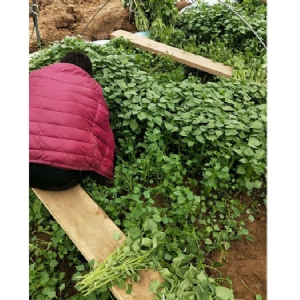 發(fā)貨現場(chǎng)