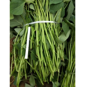 發(fā)貨現場(chǎng)